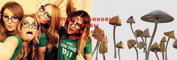 Альфа ПВП Алексеевка