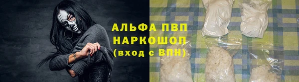 молекула духа Осташков