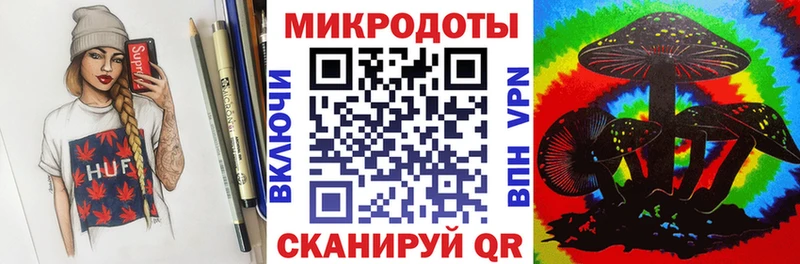 Галлюциногенные грибы Psilocybe  Опочка 